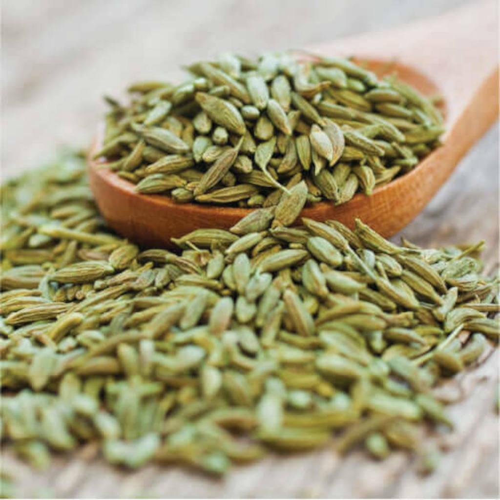 Fennel Seed