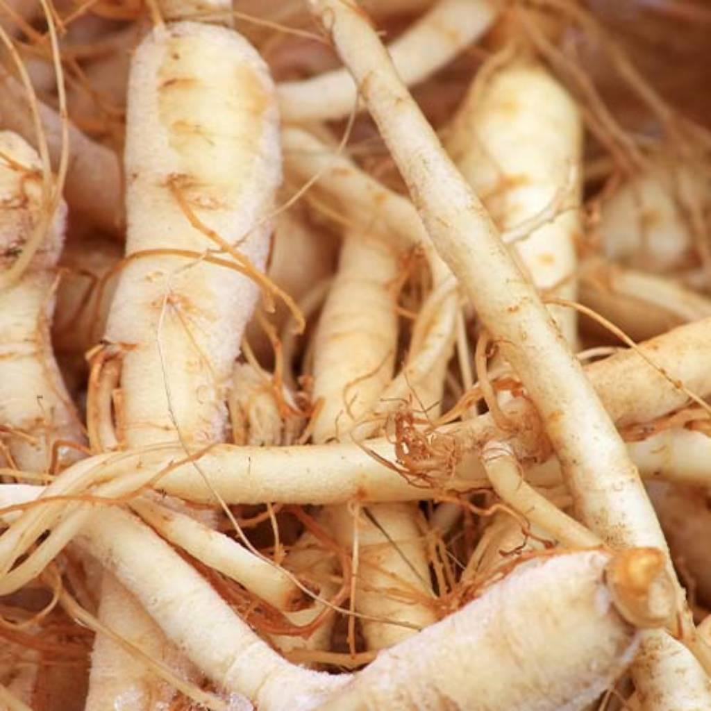 Ginseng Root