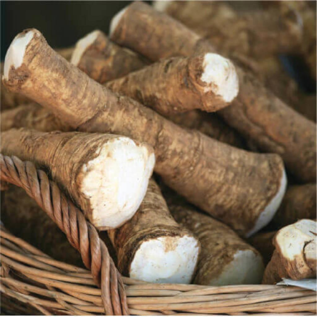 Horseradish