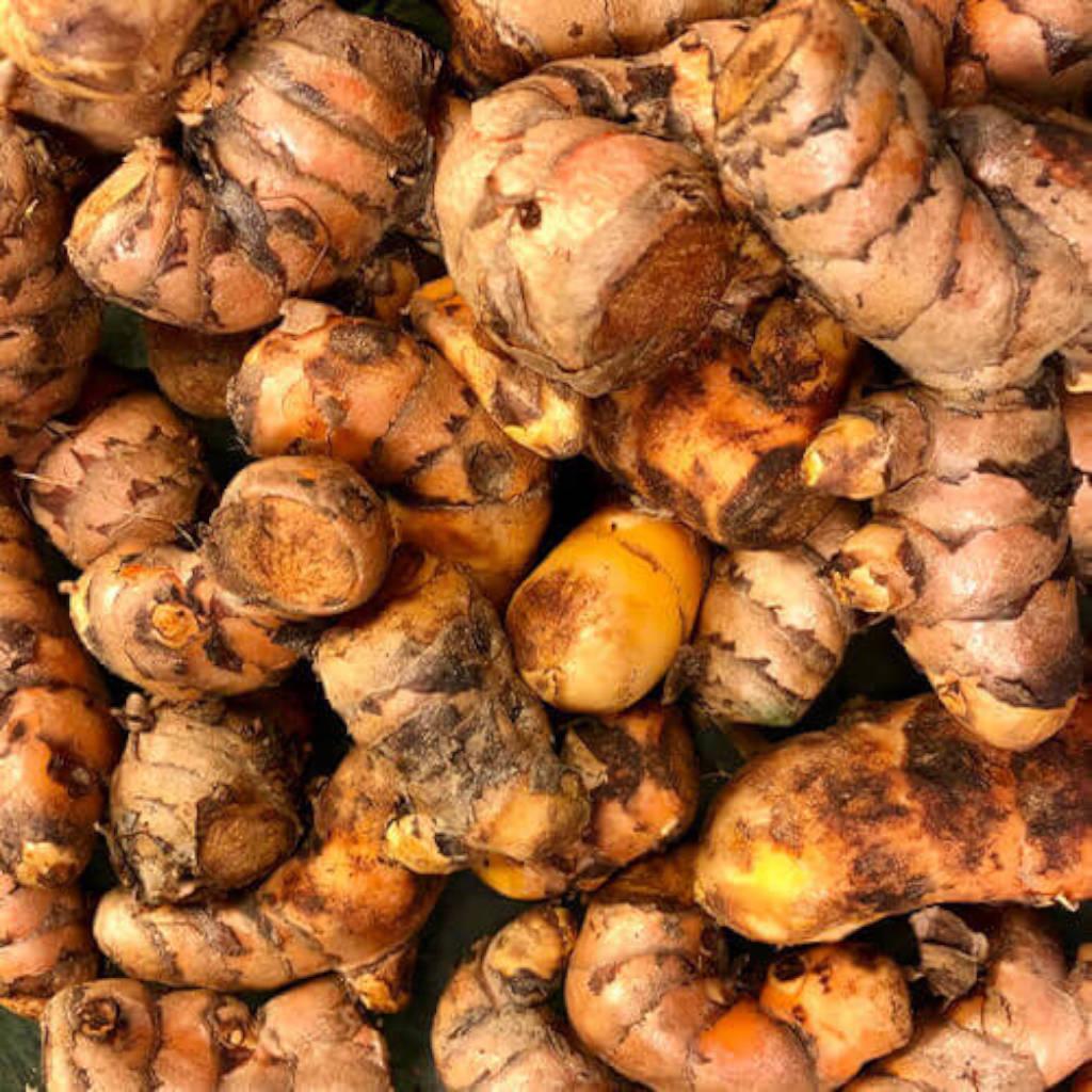 Turmeric