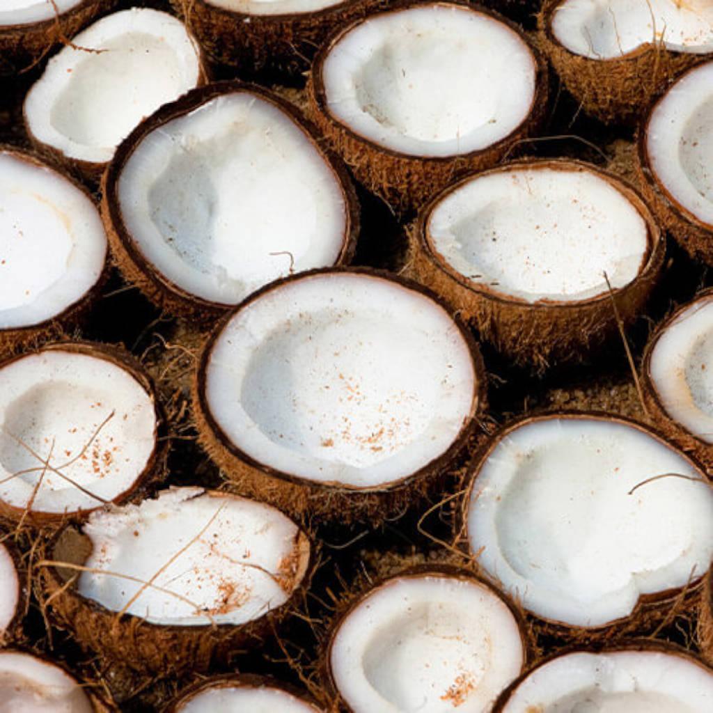 Coconut Oil